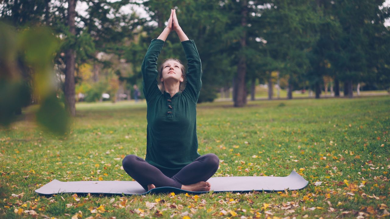 Services Adult woman practicing yoga in a serene park setting during fall
